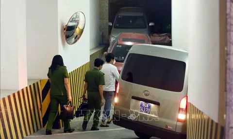 Nhân vụ việc tại Tân Hoàng Minh: Góc nhìn pháp lý trong phát hành trái phiếu doanh nghiệp