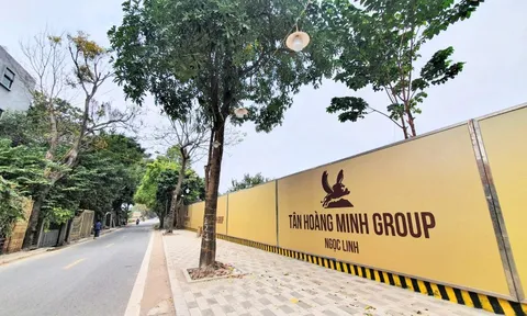 Nhiều công ty con của Tân Hoàng Minh cung cấp báo cáo tài chính giả mạo