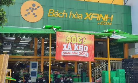 Bách Hóa Xanh sẽ tiếp tục đóng nhiều cửa hàng, chấp nhận tác động lợi nhuận Thế Giới Di Động