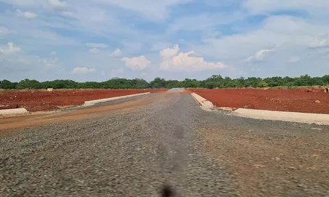 Thanh tra tỉnh Bình Phước chỉ ra loạt sai phạm đất đai tại nhiều địa phương