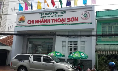 Lộc Trời (LTG) lỗ nặng trong quý II, tổng nợ vay tăng thêm hơn 1.030 tỷ đồng