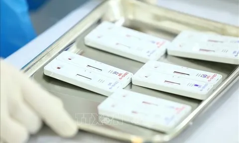 Đề nghị chuyển Cơ quan Công an điều tra về 4 gói thầu do CDC Đắk Lắk làm chủ đầu tư