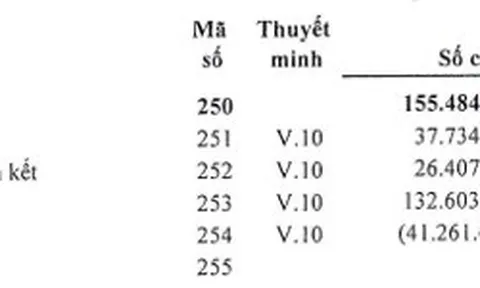 Đầu tư hàng loạt công ty con bị lỗ: Dấu hỏi lớn cho trách nhiệm sử dụng tiền Nhà nước tại SJC?