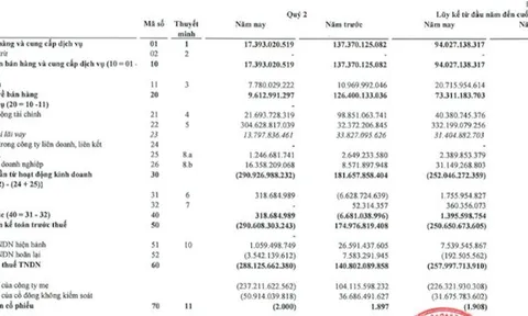 "Đổ" 1.100 tỷ đồng vào cổ phiếu HPG, Trí Việt (TVC) đã "tạm lỗ" gần 300 tỷ đồng