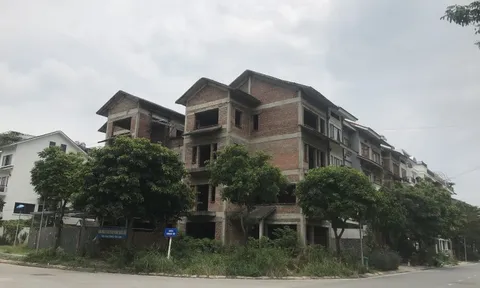 Biệt thự bỏ hoang được rao bán với giá "trên trời"