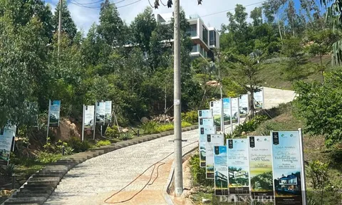 Vì sao lãnh đạo tỉnh Bình Định yêu cầu rà soát 18 dự án dọc tuyến Quy Nhơn - Sông Cầu?