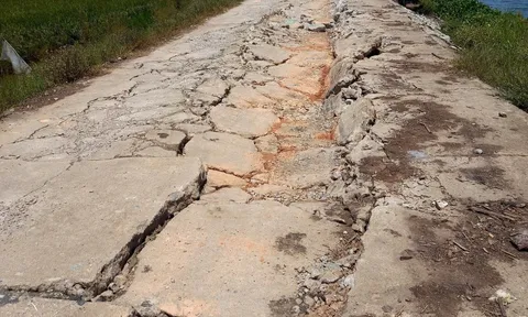 TT-Huế: Một tuyến đê bị xe quá tải tàn phá nghiêm trọng