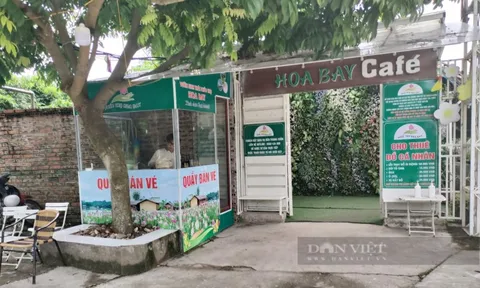 Hà Nội: Hàng chục hộ dân đòi lại đất nông nghiệp từ chủ khu "Vườn sinh thái Phúc Thọ Hoa Bay"