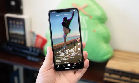 Quét rác độc hại trên TikTok