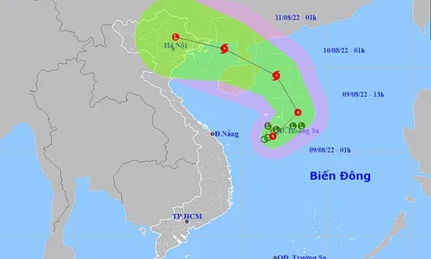 Thời tiết ngày 9/8: Áp thấp nhiệt đới có thể mạnh lên thành bão