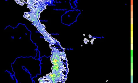 Mưa lớn diễn ra trên diện rộng từ ngày 10/8  