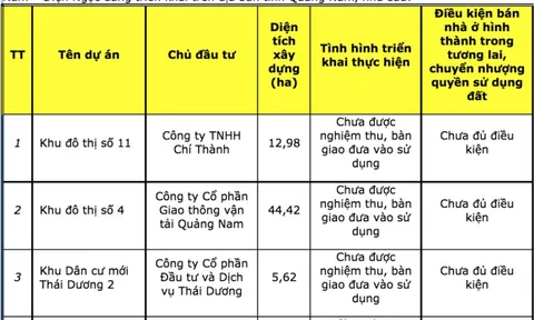 Dự án Khu đô thị số 11 Điện Nam - Điện Ngọc: Xuất hiện tranh chấp giữa Công ty Chí Thành và Dana Homeland