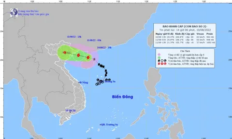 Hàng nghìn người được huy động tham gia phòng chống bão số 2