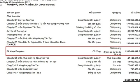 Tân Tạo chuyển tiền 2.000 tỷ cho bà Đặng Thị Hoàng Yến hay 633 tỷ: Ngân hàng Nhà nước cần có kết luận