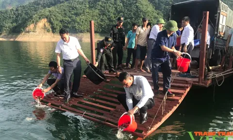 Hơn 120.000 cá giống thả xuống lòng hồ thủy điện Sơn La - Hòa Bình