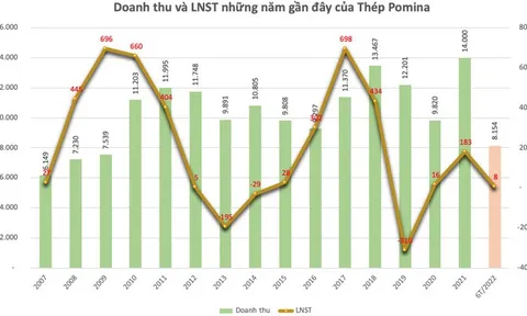 Nợ nần chồng chất, Pomina còn muốn thế chấp tài sản tại KCN Sóng Thần vay BIDV thêm 700 tỷ đồng