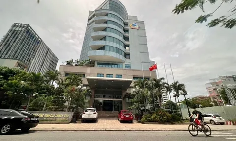 Liên tiếp trúng thầu, "sức khỏe" ông lớn CIENCO 5 hiện ra sao?