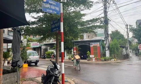 Sai phạm tại dự án làm đường Hoàng Văn Thụ (Bình Định): Chuyển hồ sơ sang cơ quan điều tra