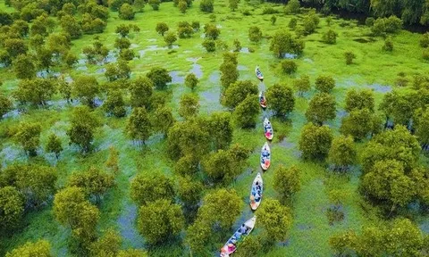 Đẩy mạnh đánh giá tác động đa dạng sinh học nhằm mục tiêu phát triển bền vững