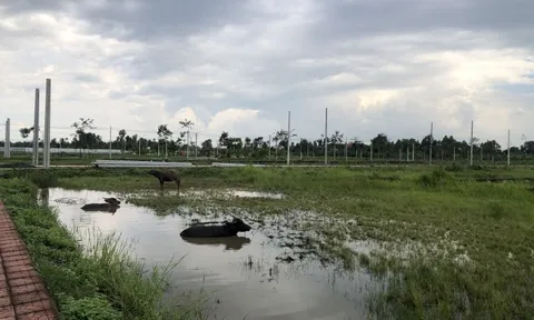 “Muôn hình vạn trạng” tại dự án The Venice City: Từ việc tự ý đổi tên, mua bán “lòng vòng” qua nhiều công ty đến mang 509 “sổ đỏ” thế chấp tại ngân hàng rồi mất khả năng thanh toán