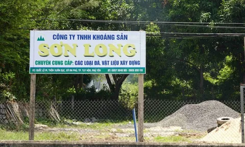 Phú Yên: Xử phạt 3 công ty vi phạm trong lĩnh vực tài nguyên môi trường