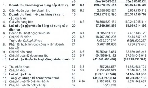 Ocean Group: Kiểm toán tiếp tục nghi ngờ đáng kể về khả năng hoạt động liên tục