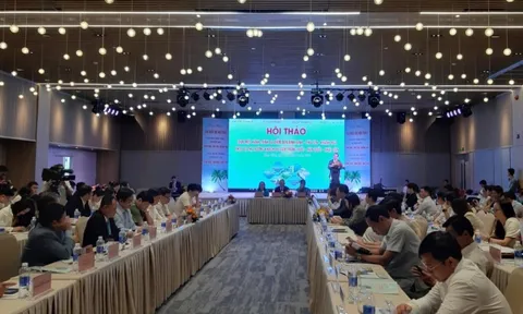 Liên kết xây dựng tour 3 tỉnh Bình Định – Phú Yên – Khánh Hòa để thu hút khách quốc tế