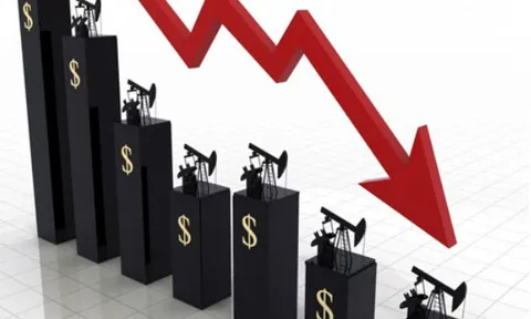 Sau soát xét, Đầu tư I.P.A báo lãi ròng giảm mạnh 87%