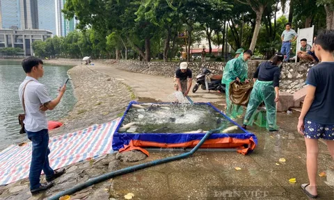 Vụ câu cá có thưởng trái phép ở hồ công ích: Dừng tổ chức câu cá trúng thưởng ở hồ Thành Công