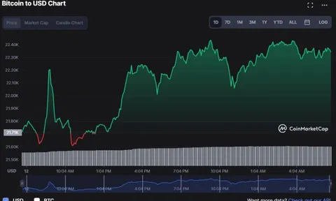 Bitcoin vượt mốc 22.000 USD