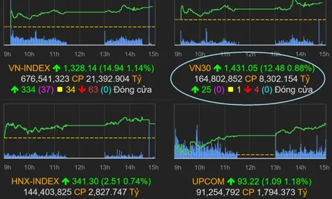 Chỉ số VN30, những thông tin cần biết về chỉ số VN30