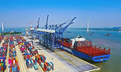 Triển vọng nào cho cổ phiếu vận tải biển?