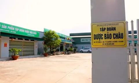 Tiềm lực Tập đoàn Dược Bảo Châu (BCH) trước thềm niêm yết HOSE ra sao?