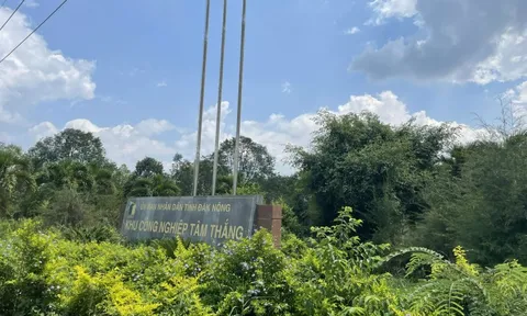 Đắk Nông: Nhiều công ty trong KCN Tâm Thắng bị phản ánh gây ô nhiễm môi trường