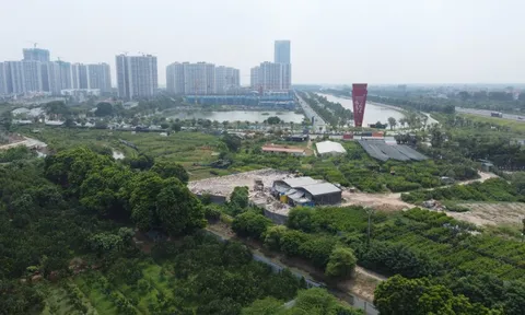 Gia Lâm - Hà Nội: Cần làm rõ việc bãi đổ thải trên đất nông nghiệp ở xã Đa Tốn
