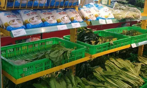 Chỉ số CPI đang phản ánh đúng xu hướng biến động giá trên thị trường Việt Nam