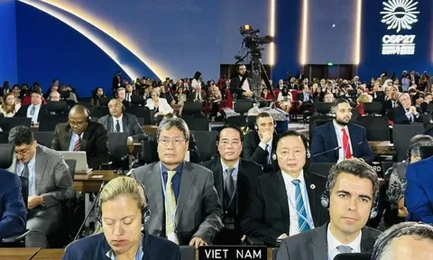 Việt Nam tiên phong trong chuyển đổi năng lượng, thực hiện mục tiêu “Net Zero”