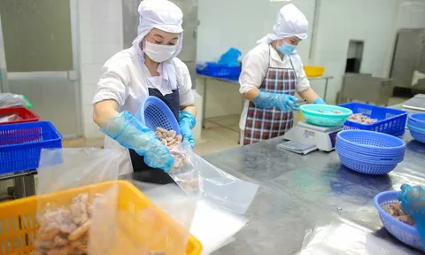 Lên kịch bản cho kinh tế Việt Nam năm 2023