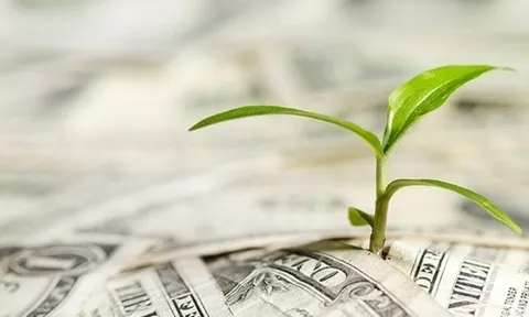 Vai trò của trái phiếu xanh đến sự phát triển bền vững