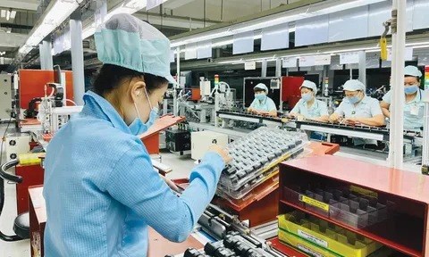 Doanh nghiệp nên thay đổi mô hình kinh doanh, tạo sức mạnh nội địa