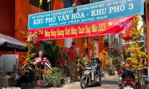 Bà con trong hẻm nhỏ góp tiền làm đường hoa đón xuân mới