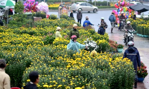 Bộ Y tế: Tăng cường phòng, chống dịch dịp Tết Nguyên đán và mùa lễ hội 2023