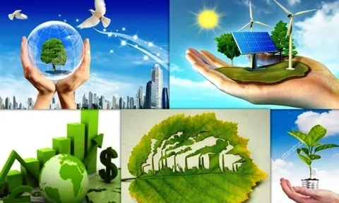 Việt Nam có đủ tiềm năng để phát triển theo hướng tăng trưởng xanh
