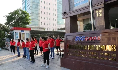 DIC Holdings báo lãi 253 triệu đồng, giảm 99,4%