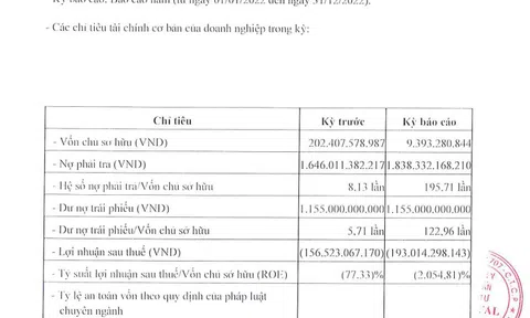Nợ gần 1.200 tỷ đồng trái phiếu, CTCP Đầu tư Revital Việt Nam đang làm thủ tục giải thể
