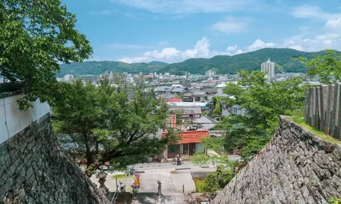 Suy giảm dân số - thách thức toàn cầu và những hệ lụy khôn lường