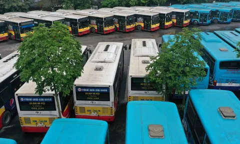 Cần chuyển đổi mạnh mẽ xe buýt Hà Nội cả về chất và lượng