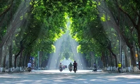 Thị trường chứng khoán ngày 26/12/2023: Thông tin trước giờ mở cửa