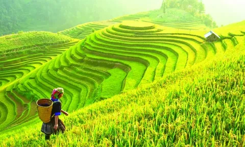 Năm 2024, ngành du lịch có thể đón 14 - 15 triệu lượt khách