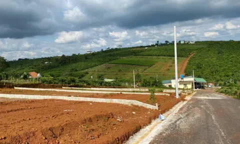 Thanh khoản thị trường bất động sản Lâm Đồng giảm mạnh trong quý cuối năm